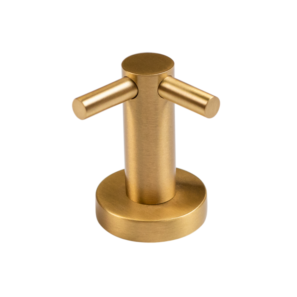 Vivid Brass Wall Hook