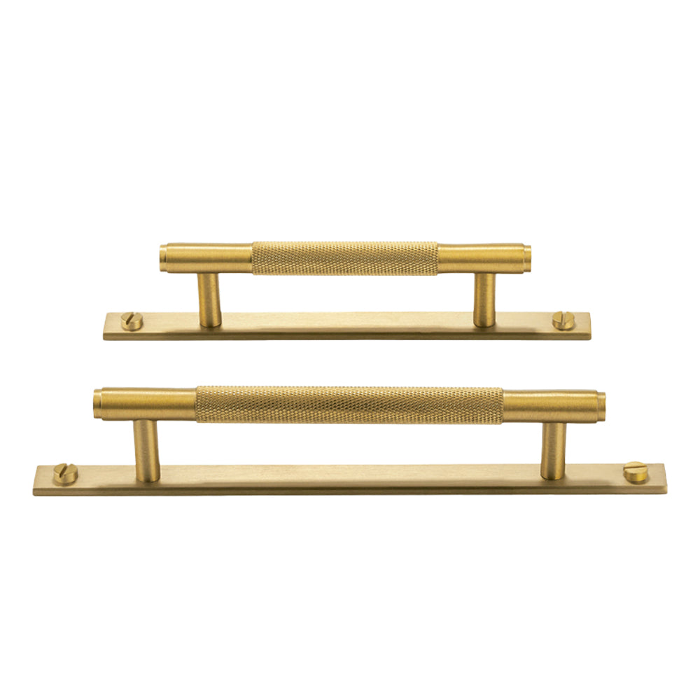 Nuvo Solid Brass Pull Handle with Backplate